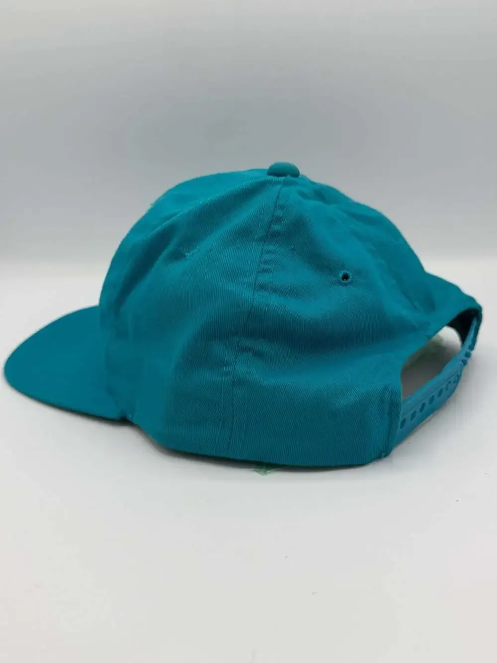 Vintage Charlotte Hornets Snapback Hat The Game G Cap NBA Hugo Logo Teal 90s